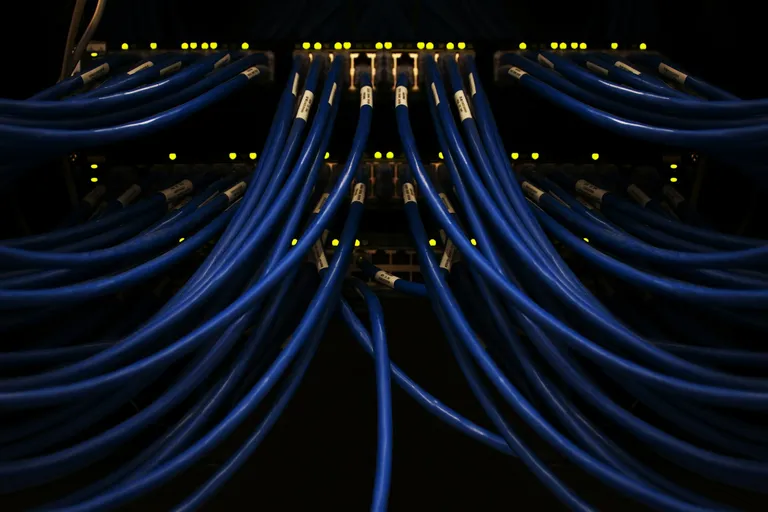 Blue network cables connected together