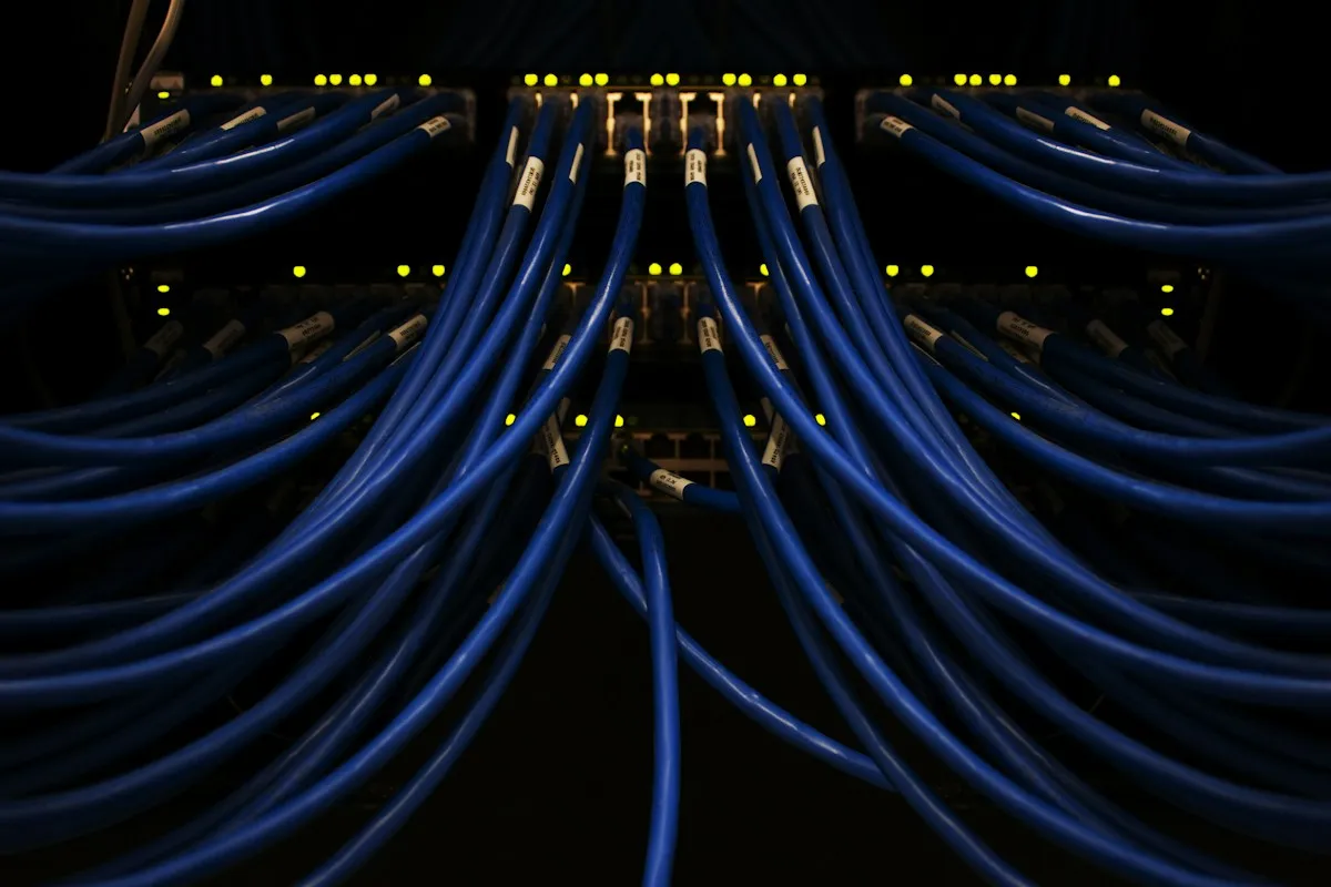 Blue network cables connected together