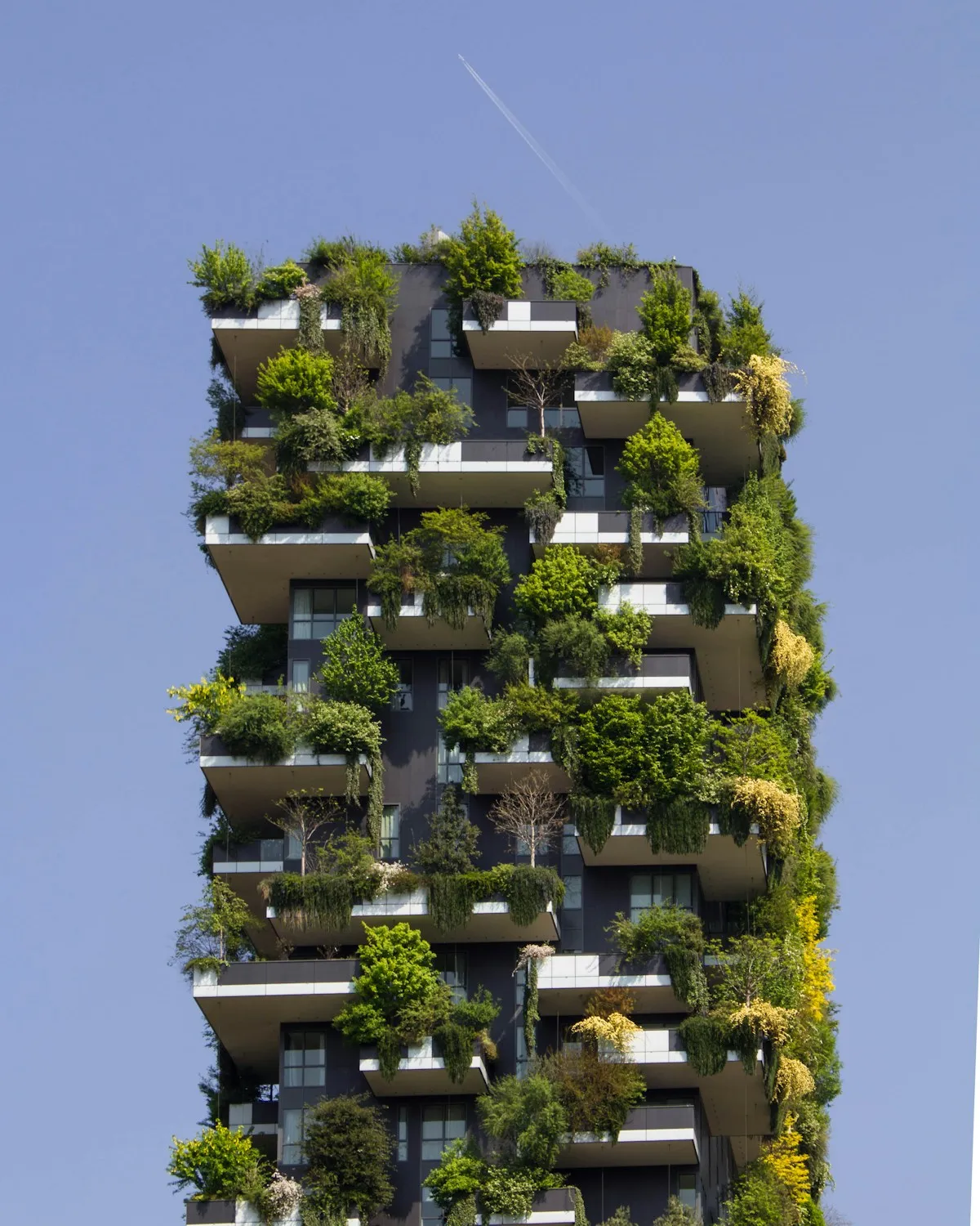 Building facade covered in plants