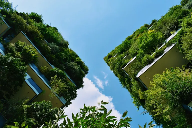 Buildings covered with plants