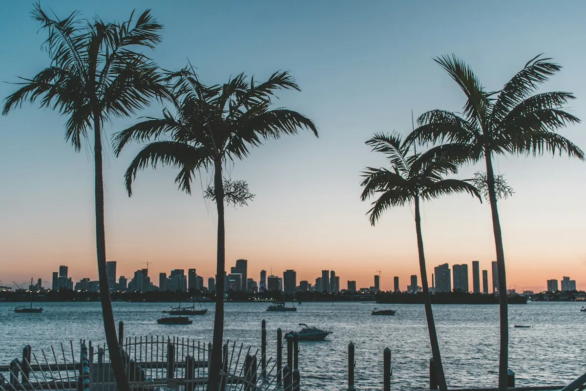 Palm trees near the water at sunset in Florida